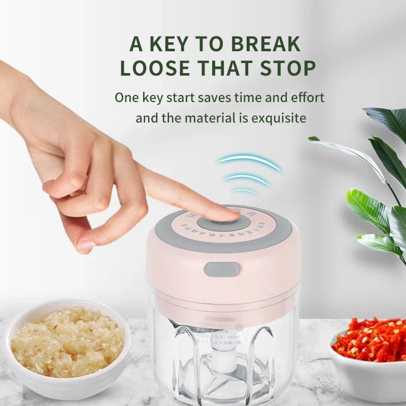 QuickDice Mini Electric Garlic Chopper 250ml